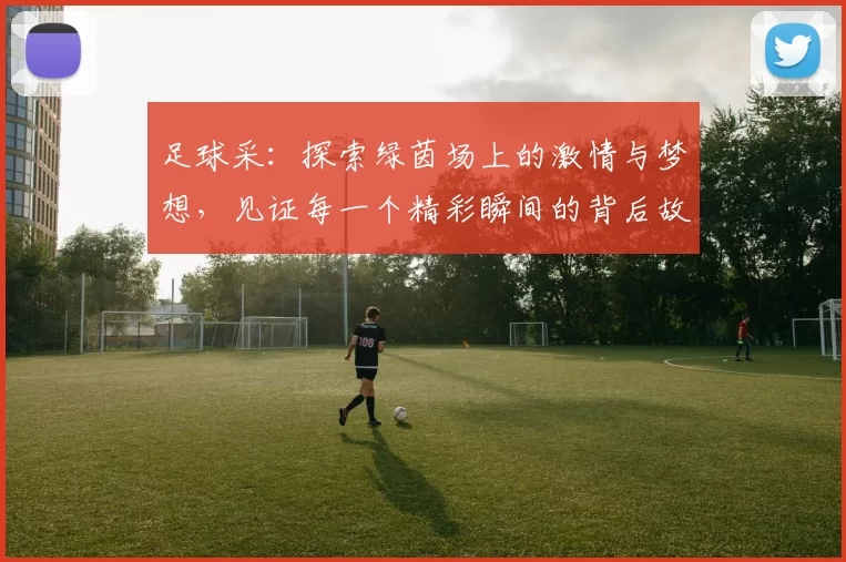 足球采：探索绿茵场上的激情与梦想，见证每一个精彩瞬间的背后故事