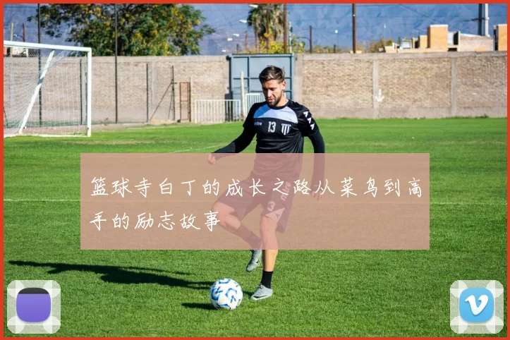 篮球寺白丁的成长之路从菜鸟到高手的励志故事